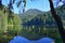 Transsylvania lake mountain and dead trees