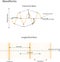 Transverse and Longitudinal Waves