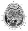 Transverse Section of the Knee Joint, vintage illustration