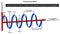 Transverse wave infographic diagram physics science education