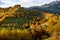 Transylvania landscape in autumn time , Romania country side