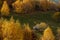 Transylvania landscape in autumn time , Romania country side
