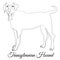 Transylvanian hound cartoon dog outline