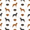 Transylvanian hound seamless pattern. Different poses, coat colors set