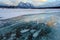 Trapped methane bubbles frozen into the water under the thick cracked and folded ice on Abraham Lake, located in the Kootenay