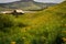 Trappers Lake Old Mountain Cabin With Orange Wildflowers