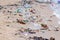 Trash on the Beach. Beach pollution. Plastic bottles and other trash on sea beach. Dirty sea sandy shore the Black Sea