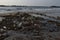 Trash on a beach in Japan