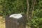 Trash can in the park surrounded by trees