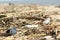 Trash on a dirty beach after storm