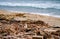 Trash thrown out of the sea after Summer storm