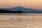 Trasimeno lake Umbria at dusk, with soft light, warm color, di