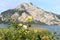 The Traunstein in the Salzkammergut with roses in front Upper Austria, Austria