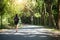 Travel asia woman standing on forest trail and looking away. Female with backpack on hike in nature