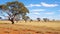 travel australian bushland arid