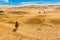 Travel background. Camels in the desert