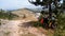 Travel bicycle near the pine tree in the Dinaric Alps.