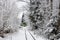 Travel concept. A train going among white winter forest like polar express, outdoor, wonderland
