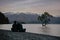 Travel couple resting by the lake shore in front of Wanaka Tree. New Zealand