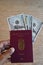 TRAVEL DECUMENTS_EUROPEAN PASSPORT_DOLLARS