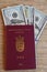 TRAVEL DECUMENTS_EUROPEAN PASSPORT_DOLLARS