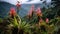 travel ecuadorian cloud forest