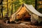 Travel forest holiday nature tent outdoors adventure vacation summer landscape trip camp