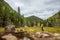 Travel hike forest nature hiker woman walking in canadian woods in fall autumn season, by beaver dam in Quebec National