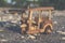 Travel image concept, wooden miniature tuk-tuk, most iconic Thailand transportation over beach background