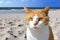 Travel, leisure, cute cat holiday, generated ai