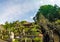 Travel photo of the most important travel attraction in Bali. Lotus temple in Ubud, Bali Island