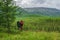 Travel photographer take a picture of green Alpine summer highlands. Solo trekking. Travel freelancer blogger lifestyle, concept