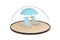 Travel Safety Concept. Two Beach Relax Pool Chairs with Sunshade under Glass Bell Dome. 3d Rendering