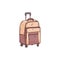 Travel suitcase on wheels with handle - wheeled luggage backpack