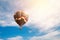 Travel and tourism concept. Colorful hot air balloon flying