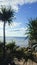 Travel and Tourism - Magnificent expanding tropical views over Coolangatta Beach Qld Australia view