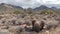 Travel tourism time lapse of Arizona scenic desert landscape,USA