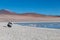 Travel tourist at altiplanic Lagoon surrounded by highland desert with Andean flamingos, Unique landscape with copy space