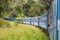 Travel by train through scenic mountain landscape in Nuwarelia, Sri Lanka