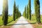 Travel in Tuscany. Beautiful and idyllic landscape of a lane of cypresses in the Tuscan countryside in Italy