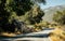 Travel on vacation in the USA. Road in the picturesque Sequoia national park, California