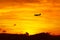 Travel On Vacations. Flying Aircraft During Sunset. Tourism. Trip, Journey.