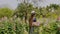 Travel Woman in Dress Walking in Garden with Flowers and Greenery in Sunny Day