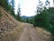 A less-traveled path near Kellogg, Idaho leads deeper into the forest. Bordered by wild grasses and broken rock you can feel the