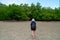 Traveler asian woman backpacking walking to mangrove forest during low tide period; Summer day nature traveling in Endau, Malaysia