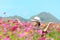 Traveler asian woman relax and freedom in beautiful blooming cosmos flower garden near the mountain in the sunrise morning.