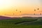 Traveler asian woman relax and freedom in beautiful Tea Plantation near blooming cosmos flower garden