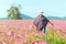 Traveler Asian women walking in the flower field and hand touch cosmos flower, freedom and relax in the flower meadow, blue sky ba
