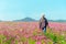 Traveler Asian women walking in outdoor the flower field and hand touch cosmos flower, freedom and relax in the flower meadow.