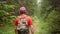 A traveler with a backpack and a cap walks along a forest path, back view